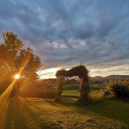 Privatzimmer Steiner Weitendorf  ภายนอก รูปภาพ